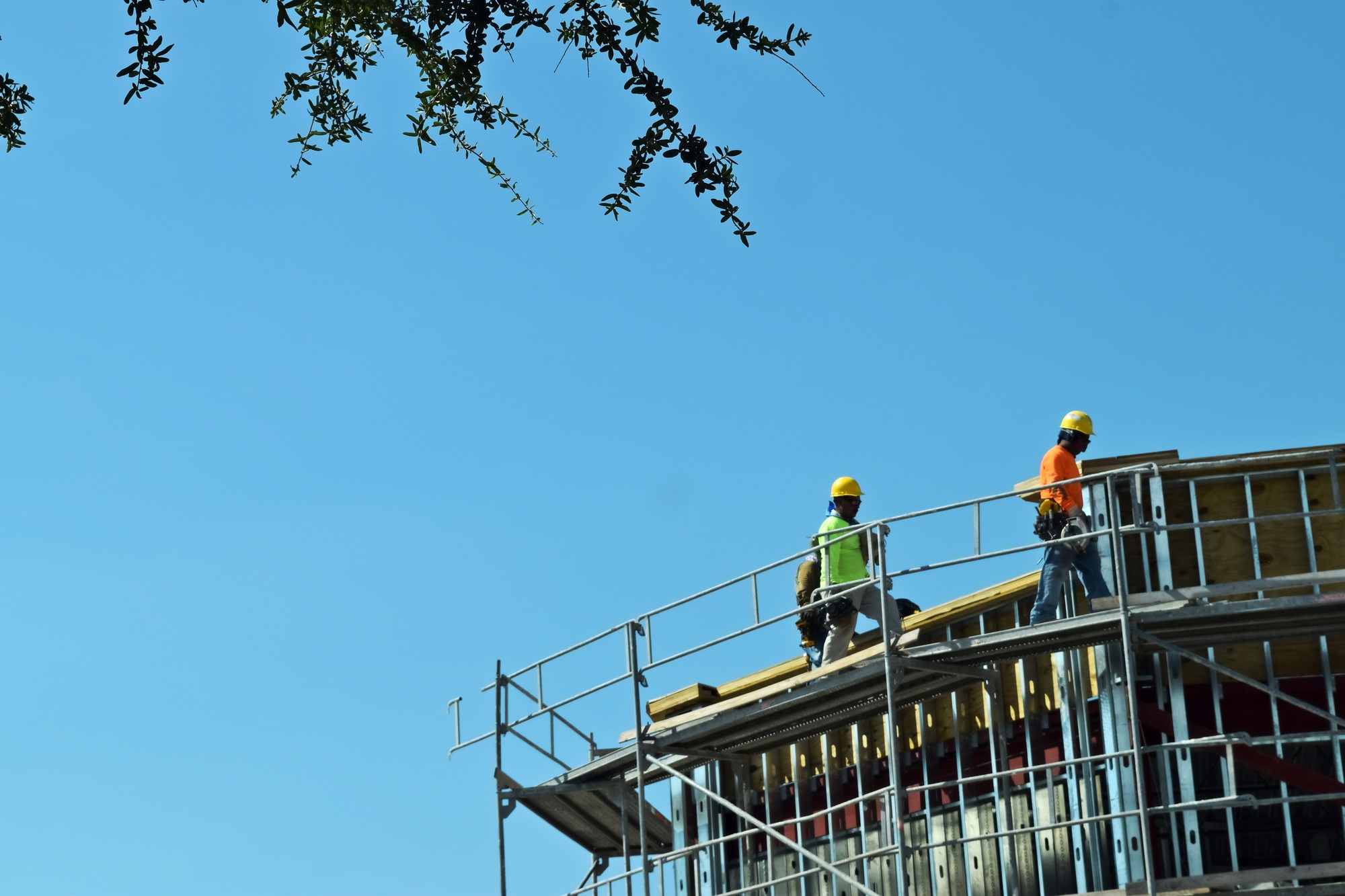 Construction workers on a building scaffold against a bright blue sky with a tree branch in site