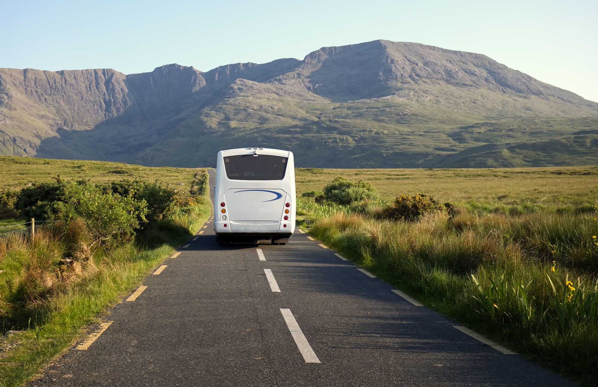 White bus on scenic road